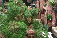 沧州假山石盆景